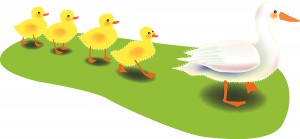Succession of Ducks