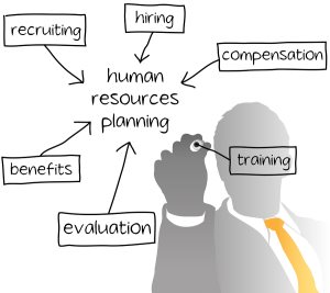 Enterprise HR manager drawing a company human resources business plan
