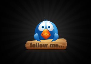 Round blue bird with log asking to follow me