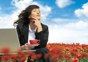 businesslady with laptop is working in a field full of poppies