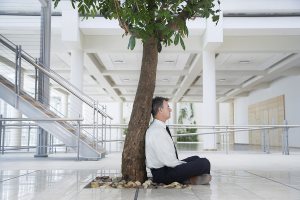 businessman meditating under tree in office
