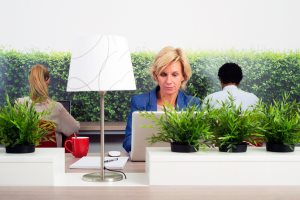 Business woman working in a green hot desk flexible office space