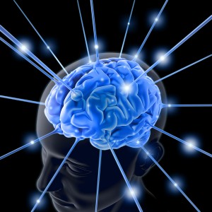 brain connect
