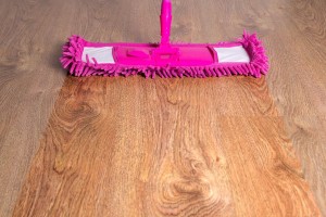 Wooden Floor With Pink Mop