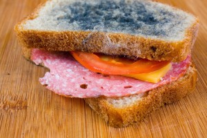 moldy sandwich with salami tomatoes on a chopping board