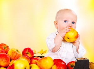 Toddler boy in white clothing eating red autumnal apples