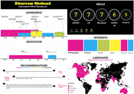 Example of a Visualize.me visual resume.