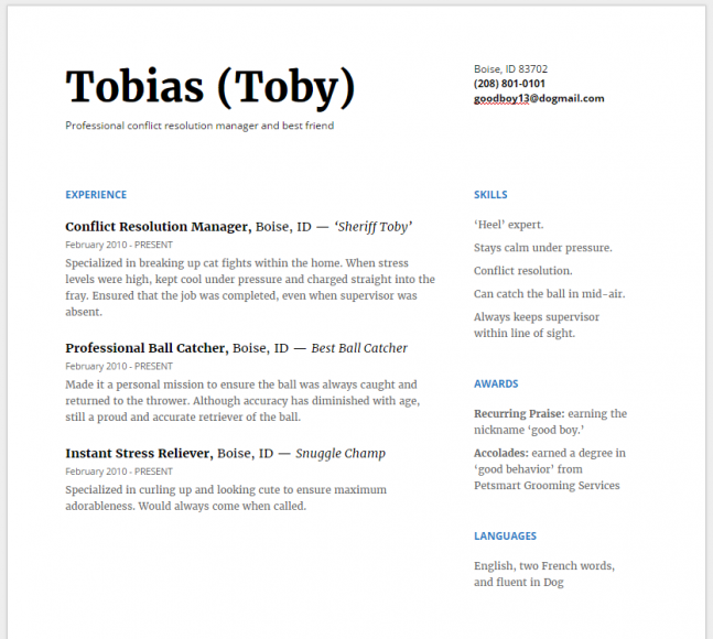 (Toby's resume -- provided by the author)